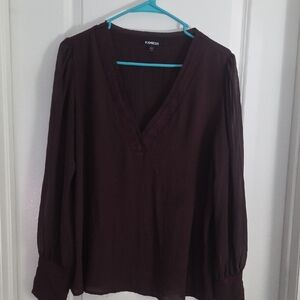 Express Women's Plum V-Neck Blouse
